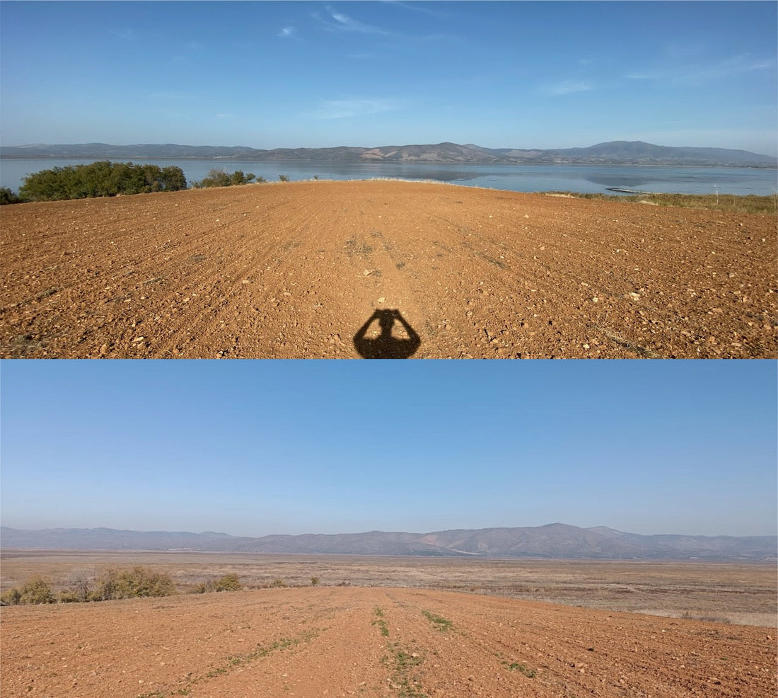 Marmara Gölü Kurudu, Doğa Alarm Veriyor