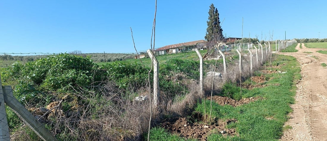 Memnune Çiftliği’nde 45 Yeni Ağaç Toprakla Buluştu
